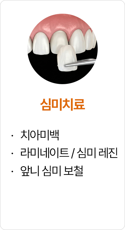 심미치료